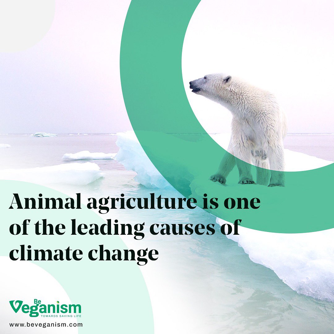 beveganism's tweet photo. THE BIGGEST THREAT TO WORLDS GROWTH IS CLIMATE CHANGE
.
.
#beveganism #veganrevolution #beyondmeat #beyondmeatburger #govegan #govegans #veganuary #veganfacts #plantbasedburger #veganlife #veganactivism #veganactivist #veganforplanet #beveganism https://t.co/87HyKTLruT