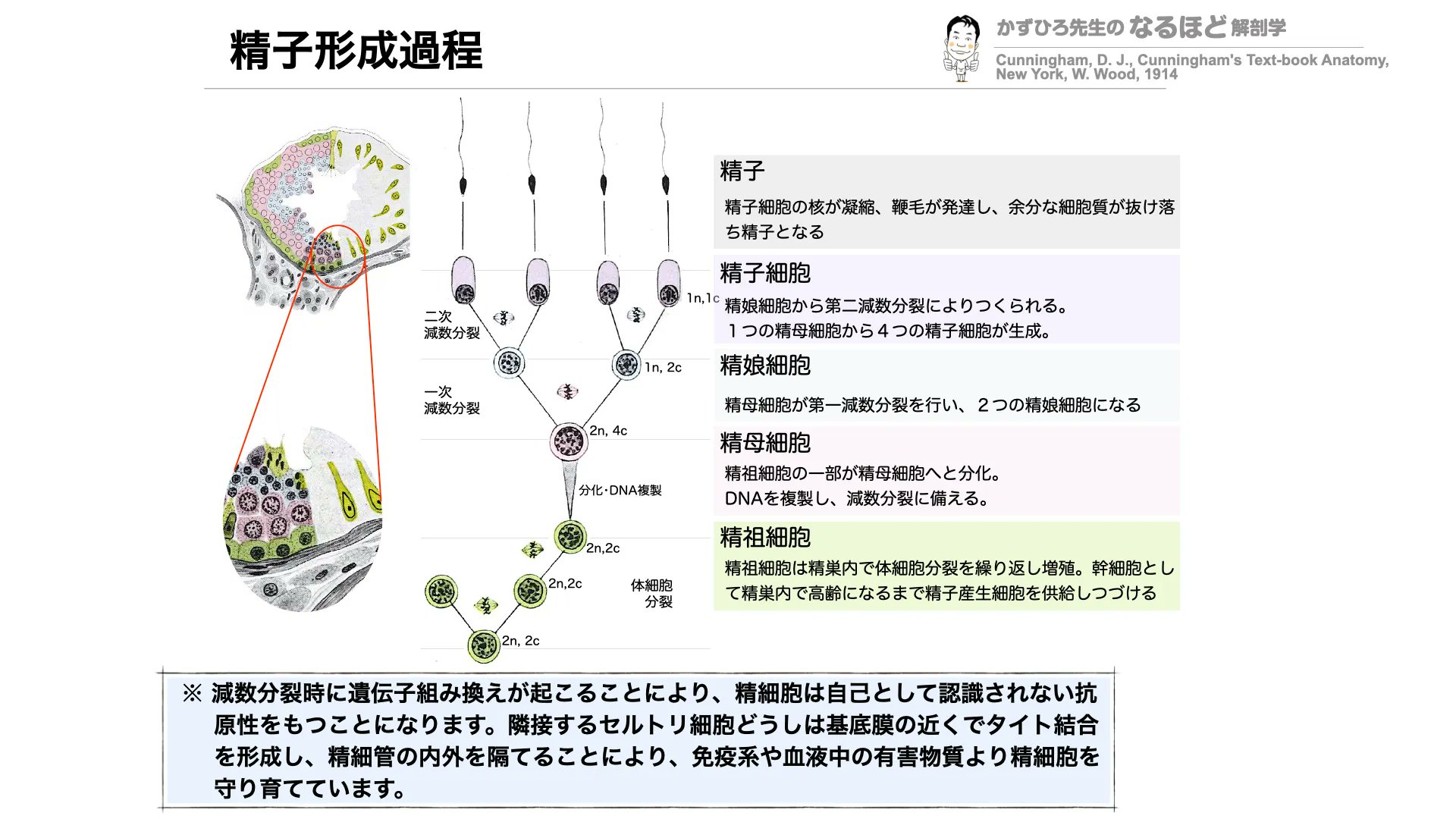 実践 卵管学 実践 卵管学 | 柴原 浩章 |本 | 通販 | Amazon