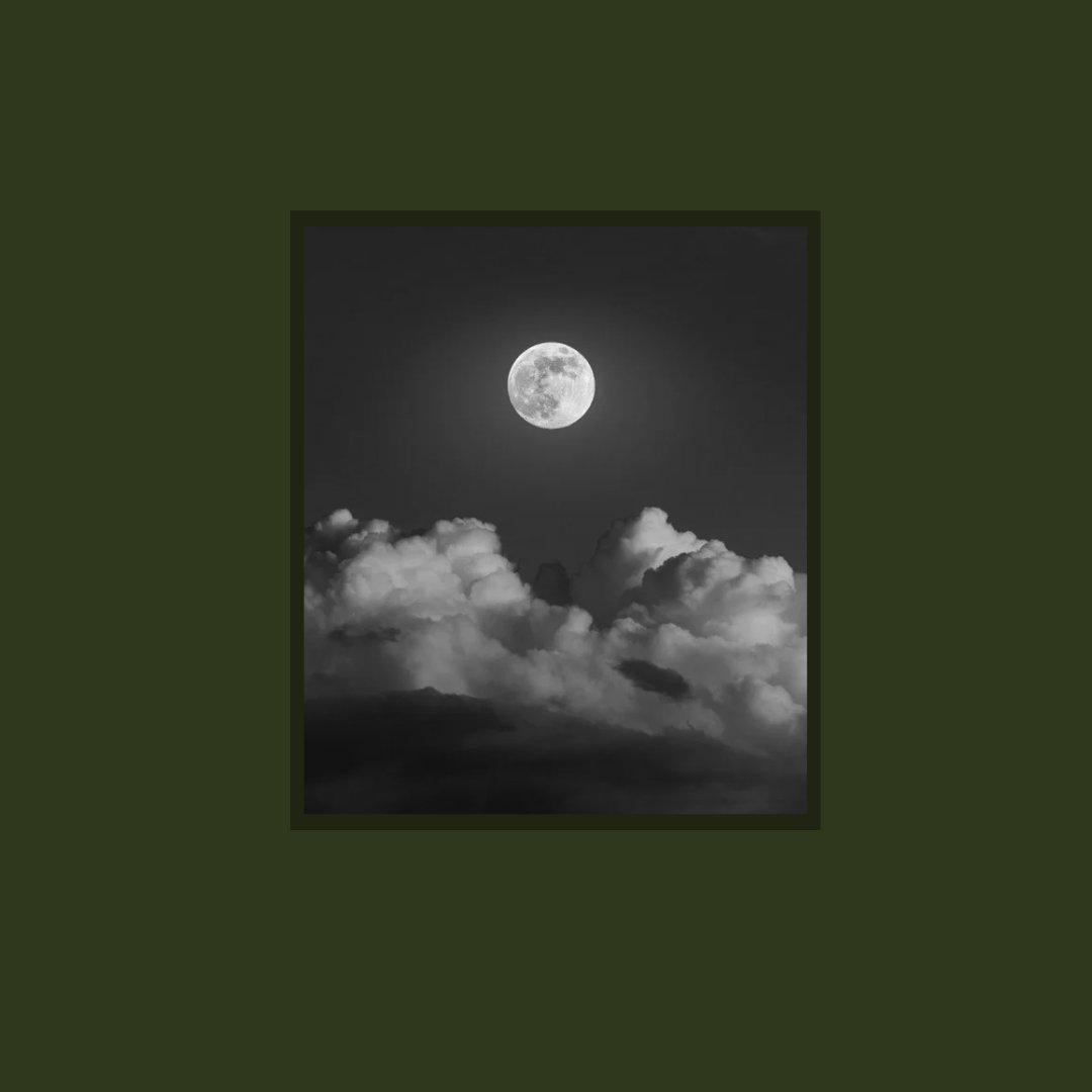 readalittlepoem's tweet photo. “How I would like to believe in tenderness—” 

— Sylvia Plath, from “The Moon and the Yew Tree” https://t.co/cCnNUWAdRh