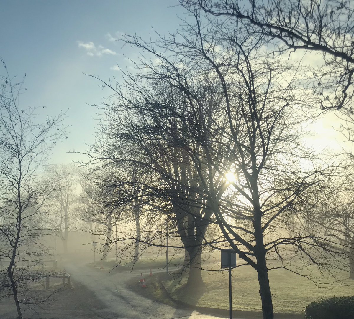 HowDoYorkshire's tweet photo. Little Horton in the Winter Sunshine ❄☀
Photo taken by @thesilversun 

#HappyMidwinter #StayCosy #HowDoFolk #WinterPics https://t.co/sHDld0xNRs