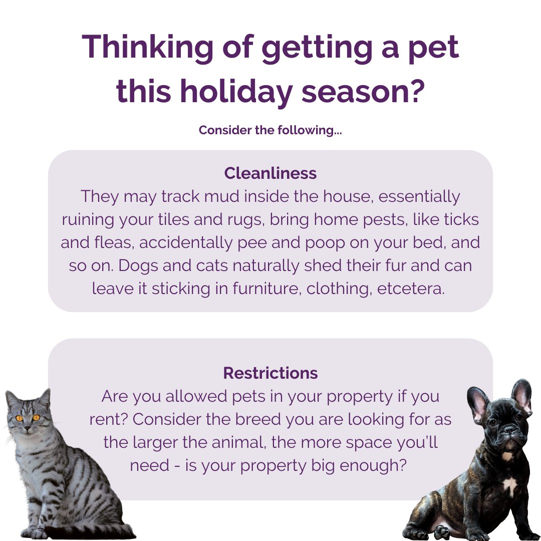 Here are some things to think about before you take the plunge and become a pet owner - they’re not just for Christmas, after all!