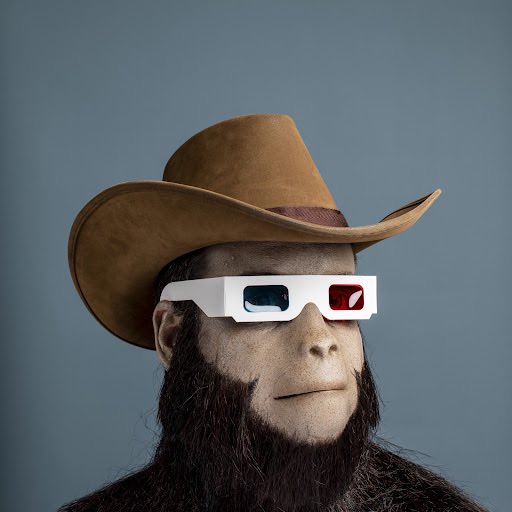 PunkPortraitNFT's tweet photo. Punk Portraits began in 2021 when 1,000 CryptoPunks mysteriously left the blockchain and ended up at famed photographer David Lawrence's studio in Orlando, FL. 

David along with his team spent 100 hours making portraits IRL and then released them back into the computer! https://t.co/HsmiYbZaCN