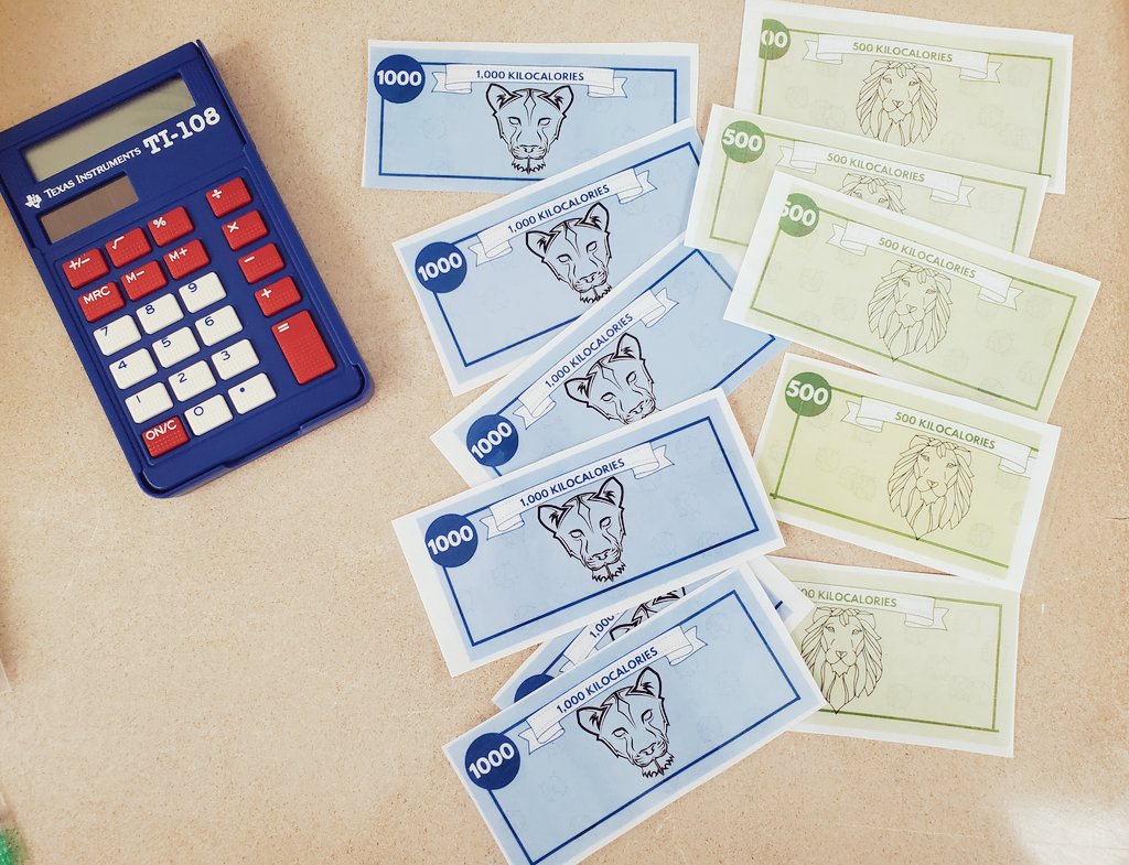 We started our NGSS Ecology unit in science! We've been analyzing predator- prey interactions and lion pride behaviors. Today, we used "kcal" energy bucks to model if hunting solo or in groups is more energy efficient. 
#fhs #NGSS #interactive <a href="/fhsdalers/">FHS Dalers</a>