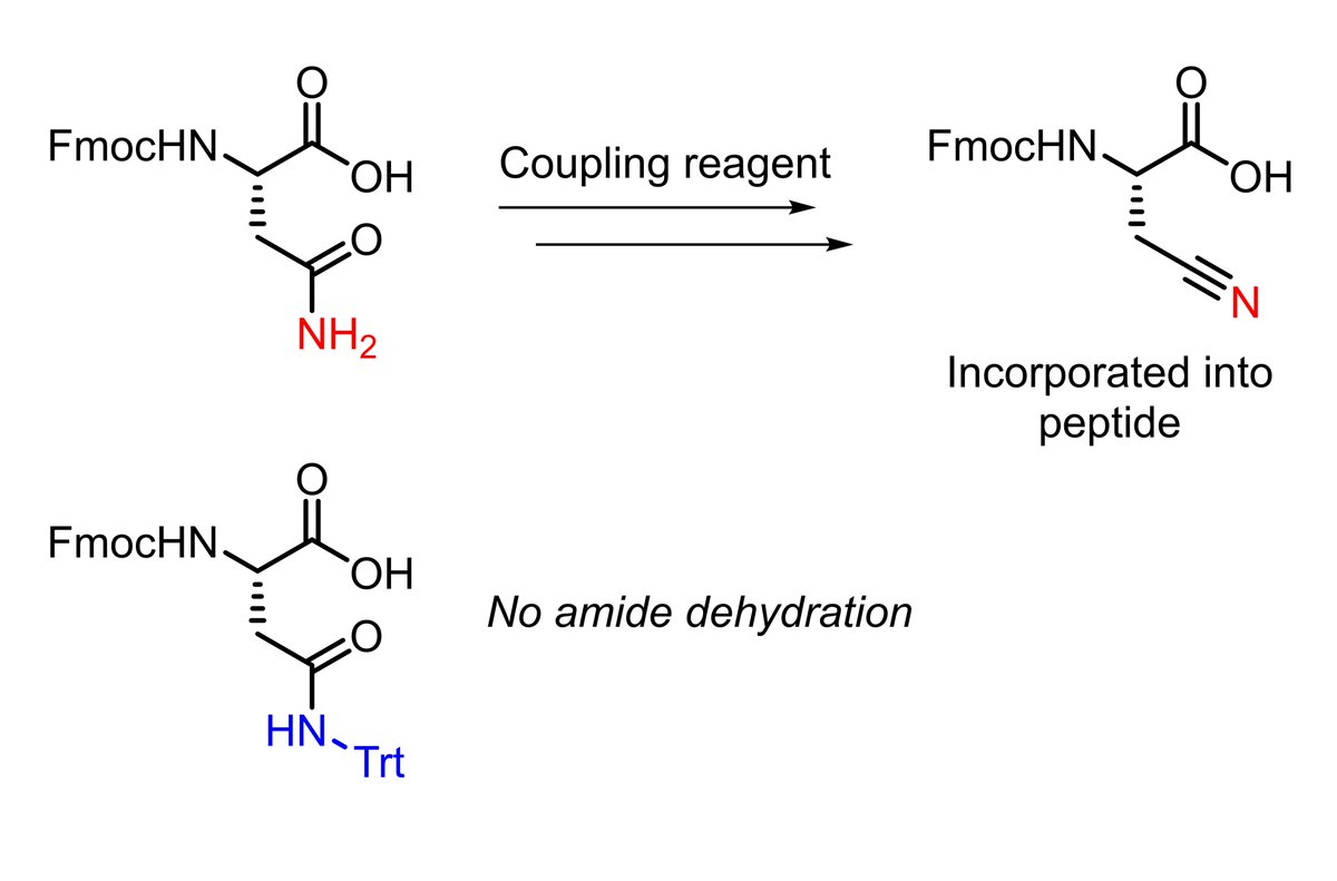 sppsfacts's tweet image. Protection of the side chain amide of asparagine (Asn) and glutamine (Gln), usually with a Trt-group, suppresses an unwanted reaction in which the side chain amide is dehydrated to form a nitrile upon treatment with coupling reagents. 
doi.org/10.1111/j.1399…