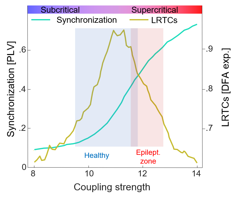 PalvaLab's tweet photo. New preprint about brain criticality now online at BioRxiv! Our resting-state MEG and SEEG findings suggest that healthy brain activity operates on the subcritical side of an extended critical regime.
https://t.co/ieMs6X3AUo 🧵1/5 https://t.co/1vcNUVkmAm