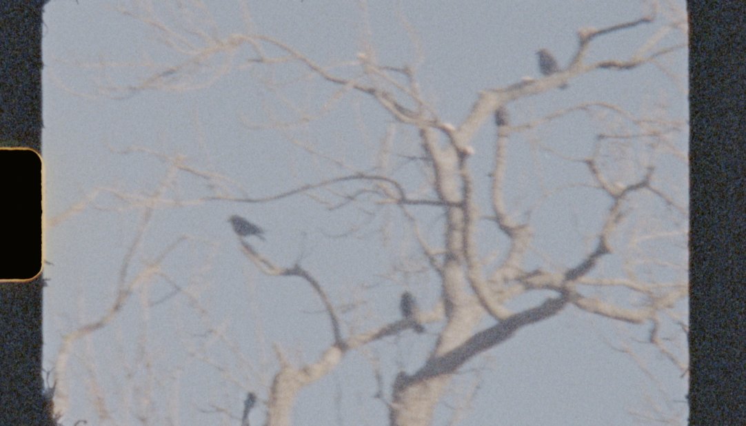 KatiegONeill's tweet image. Tomorrow.

#IntoTheBeyond #ExperimentalFilm #ExperimentalMusic #ArtsCouncil #FingalArts #Super8 @fingalarts @artscouncil_ie