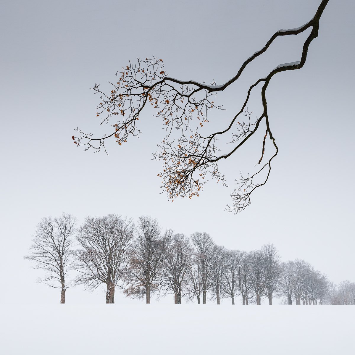 Art of Winter II