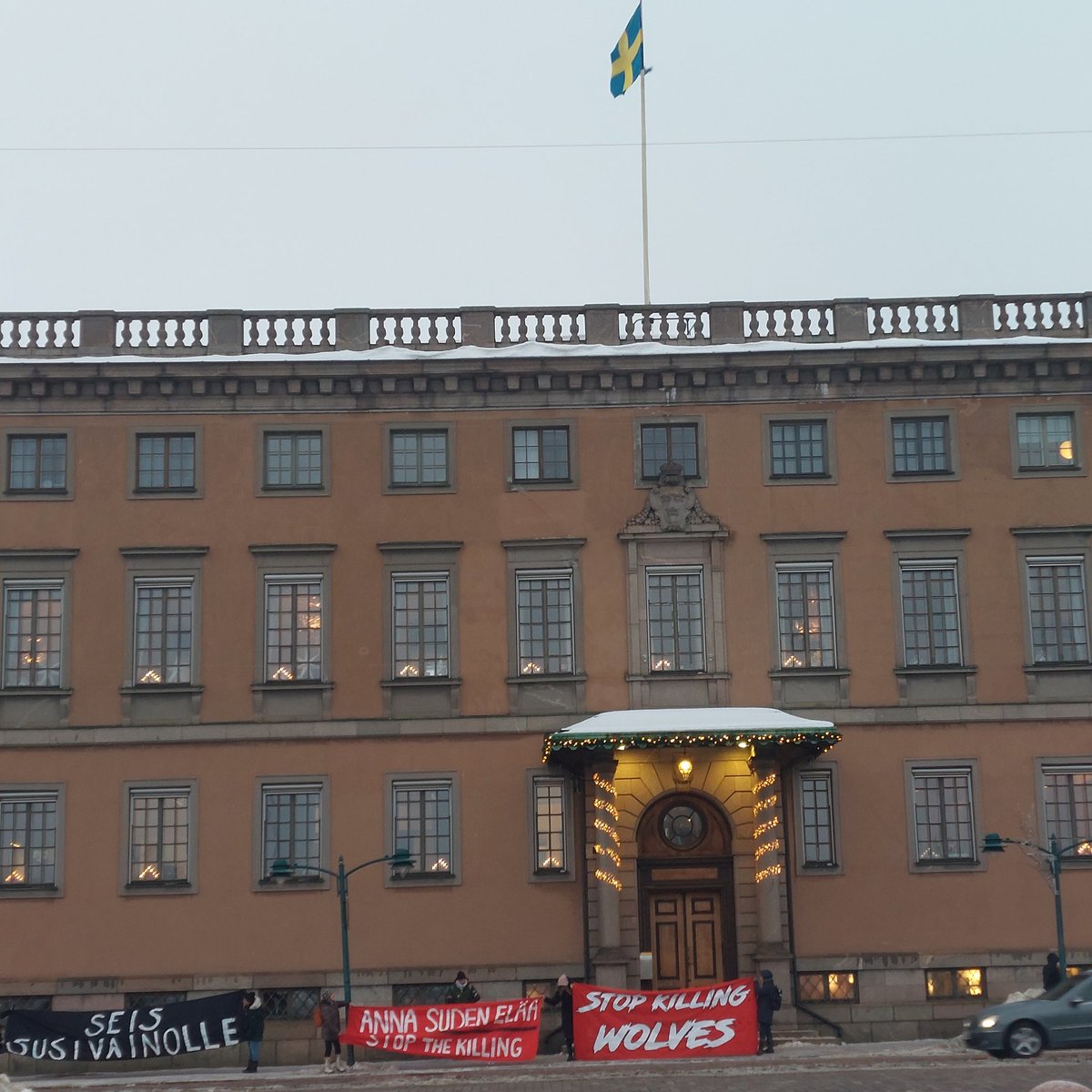 Anti wolf-cull protestors outside Swedish Embassy in Helsinki today. Sweden about to cull 73 wolves from a population of c.400. Already genetically fragmented & inbred, they need to expand not contract: #Sweden please listen to science: science.org/doi/10.1126/sc… 🐺 #wolves #COP15