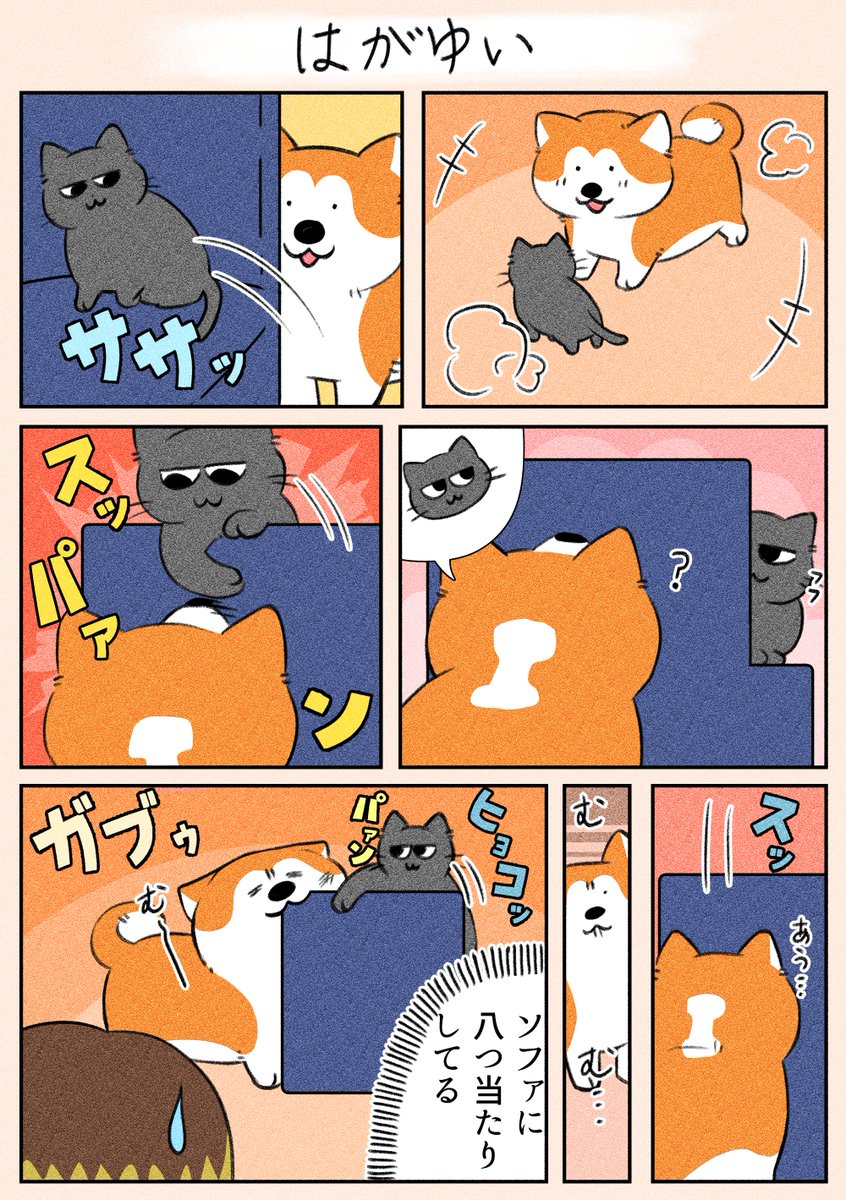 「はがゆい」
2匹で遊ぶ時はだいたいうたの負けです😅

#漫画が読めるハッシュタグ
#日常
#犬猫 
