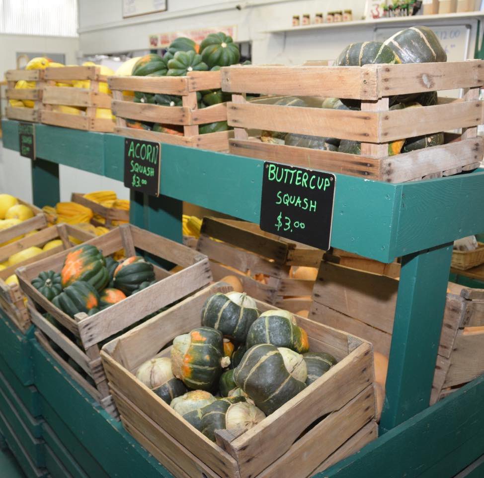 rochestercider's tweet photo. We have plenty of squash which is delicious with any meal including Christmas dinner. ๐
Varieties include Sweet Dumpling, Spaghetti, Acorn, Buttercup, Delicata, and Butternut.
#Squash #FreshProduce #Apples #FreshFromTheField #MichiganAgriculture #MichiganFarms https://t.co/VDaoiAYgSP