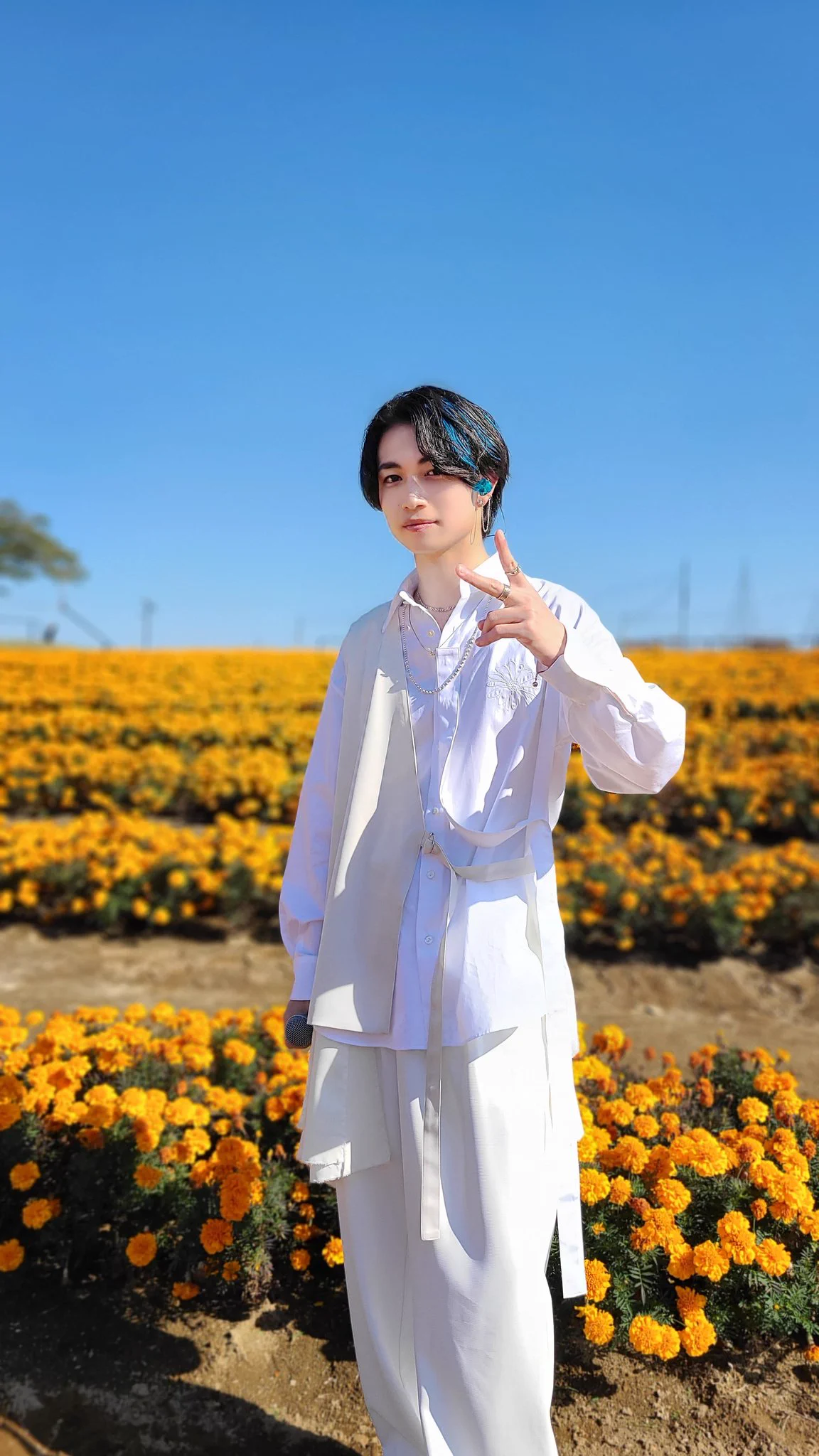 8LOOM 君の花になる DVD＋ポスター＋アクスタC＋綱啓永写真集＋限定生写真 公式】火ドラ「君の花になる」Blu-ray＆DVD 発売中💐 on X