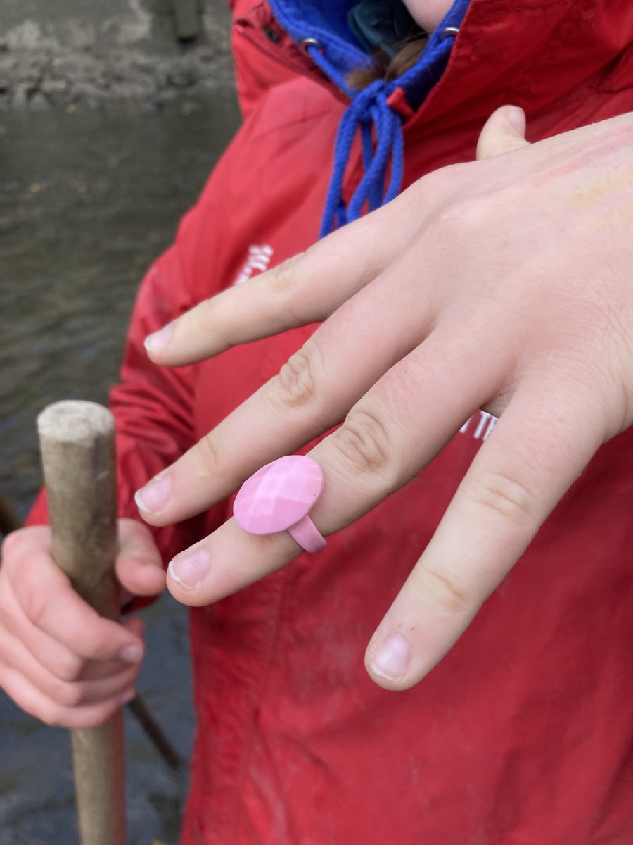 Creekside Discovery Centre tweet media