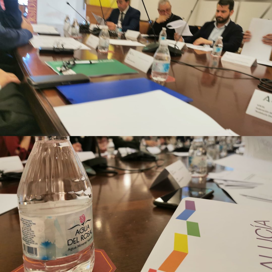 Hoy nos encontramos en la Universidad de #Sevilla formando parte del primer Consejo Andaluz del #Voluntariado 💪🏻 Trabajamos para que Andalucía siga siendo pionera en avances sociales e #Igualdad 🏳️‍🌈💜 #Cooperacion #Participacion