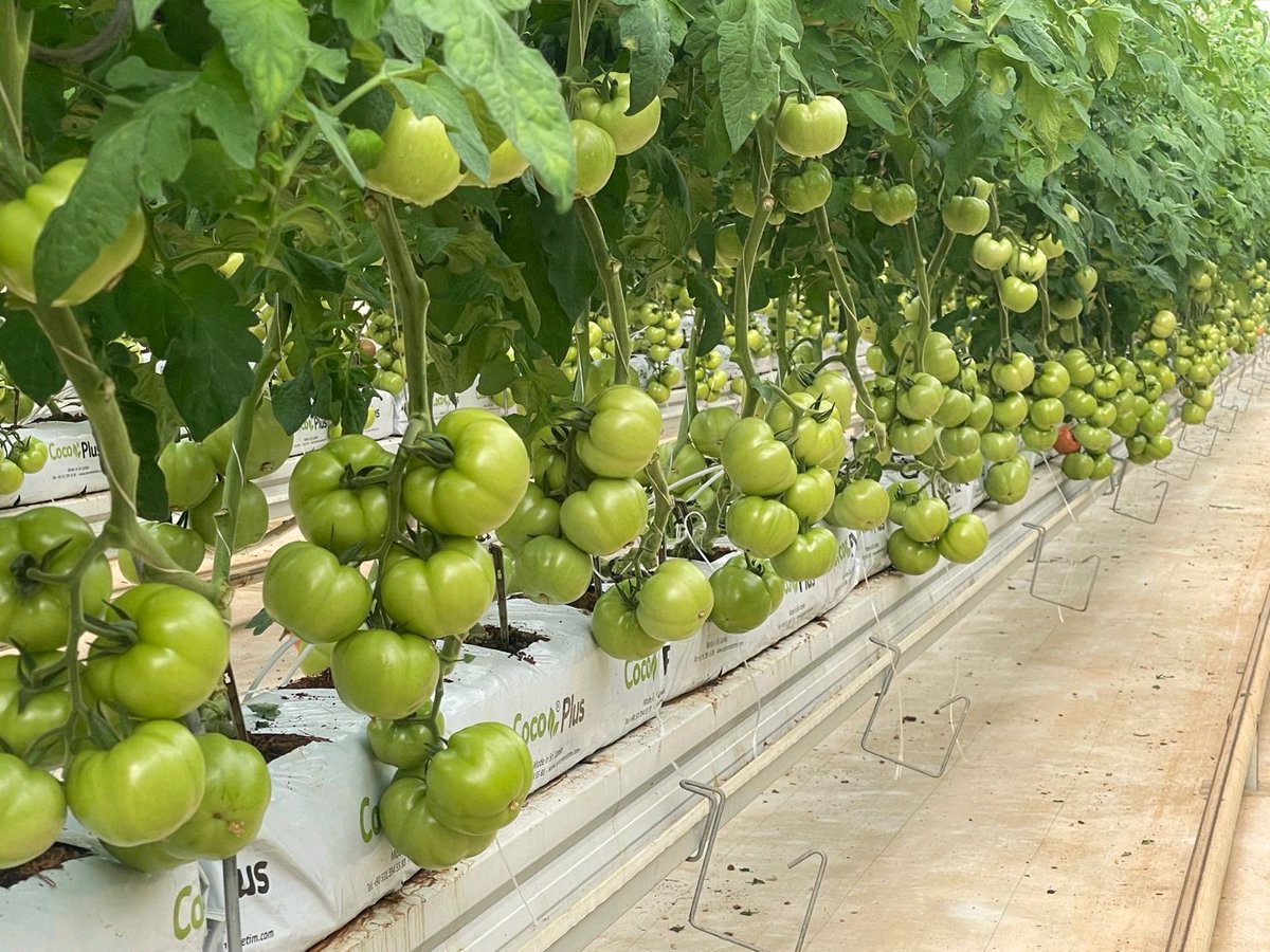 DefarmerAlex's tweet photo. Since Agriculture is Trending, 
let's like and retweet this for Agriculture as the future. https://t.co/dQ5INEE27Y