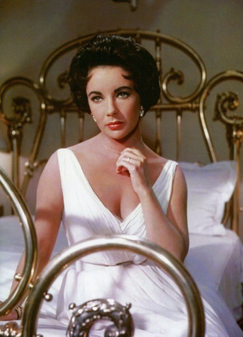 archive_oldholl's tweet photo. Cat On A Hot Tin Roof,  1958 https://t.co/wrPA77I4W2
