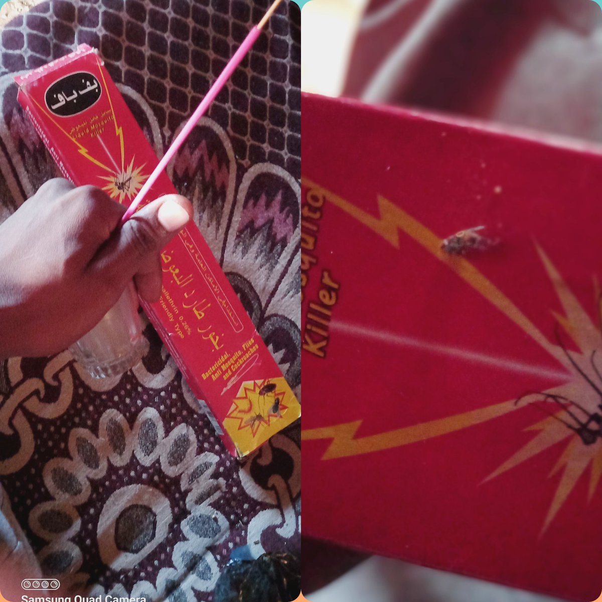 اخر إكتشافاتتيي..🤓🧠

إكتشفتا إنو  بخور "بف باف" لا يقتل الحشرات إلا بعد وضع الحشرة المراد قتلها في زجاجة محكمة الإقلاق مثل التي في الصورة، قمت بوضع ذبابة في كباية شاي ثم أشعلت  عود البخور ووضعته داخل الكباية لثانيتين ومن ثم اخرجته🙂 بعد ده ااي حشرة تخش في علبها😁🙂💔