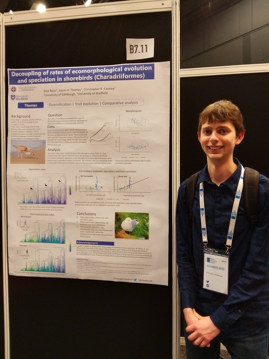 AlexReiss20's tweet photo. First a Twitter account ... now a poster! Come and say hello and hear about the Master's project I did on patterns of shorebird diversification at #BES22 https://t.co/R9jyRe9Lc8