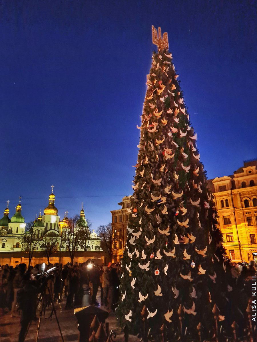 alisakulii's tweet photo. Ялинка незламності 💪 З подякою міжнародним партнерам) #Київ #Україна #Kyiv #Ukraine #StandWithUkraine https://t.co/wlM76Zxepd