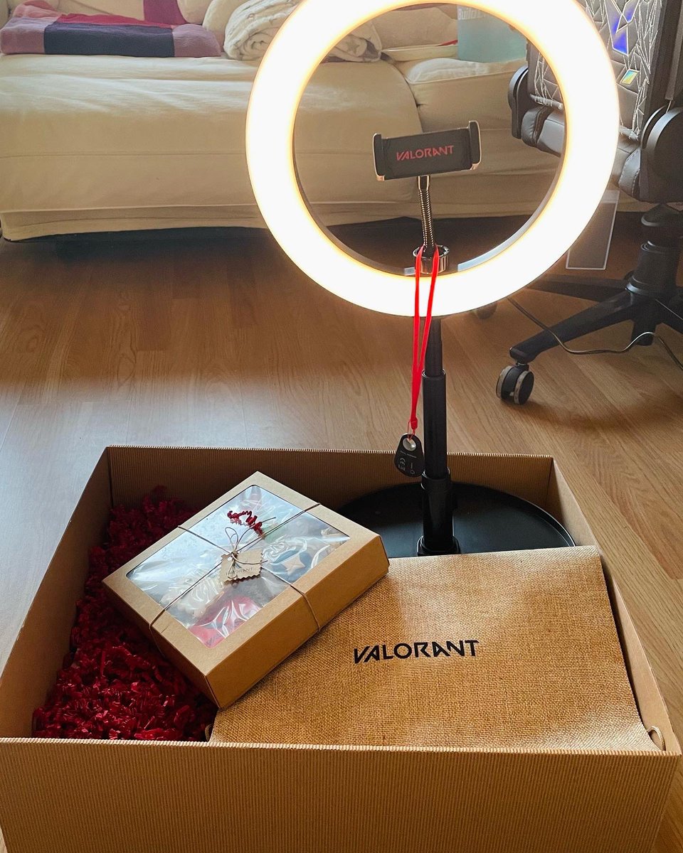 Lucimucii tweet media