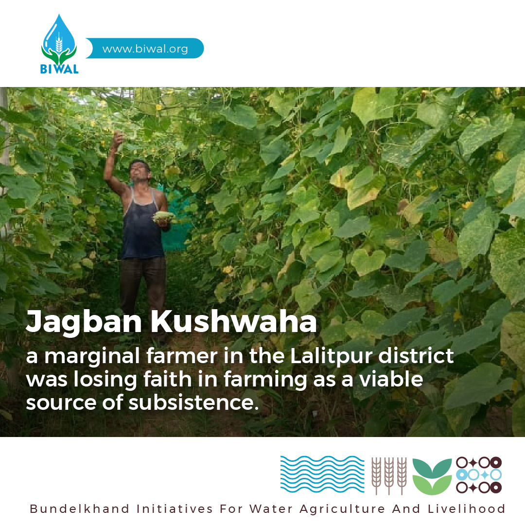 biwalprogram's tweet photo. Jagban Kushwaha a marginal #farmer in the #Lalitpur district, #UttarPradesh was losing faith in farming as a viable source of subsistence. He was deeply in debt as a result of a string of poor harvests. https://t.co/YiUZogPp5q