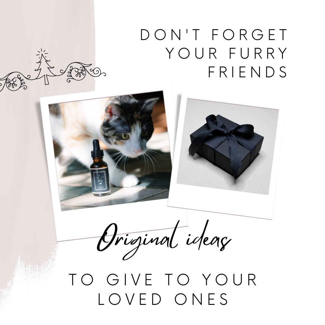 RomaLeaf's tweet photo. Don't forget to shop our Pet products for your furry friends. 

#giftideas #gifts #petproducts #petcbd #pethemp #dogs #cats https://t.co/07UgPaUMHO