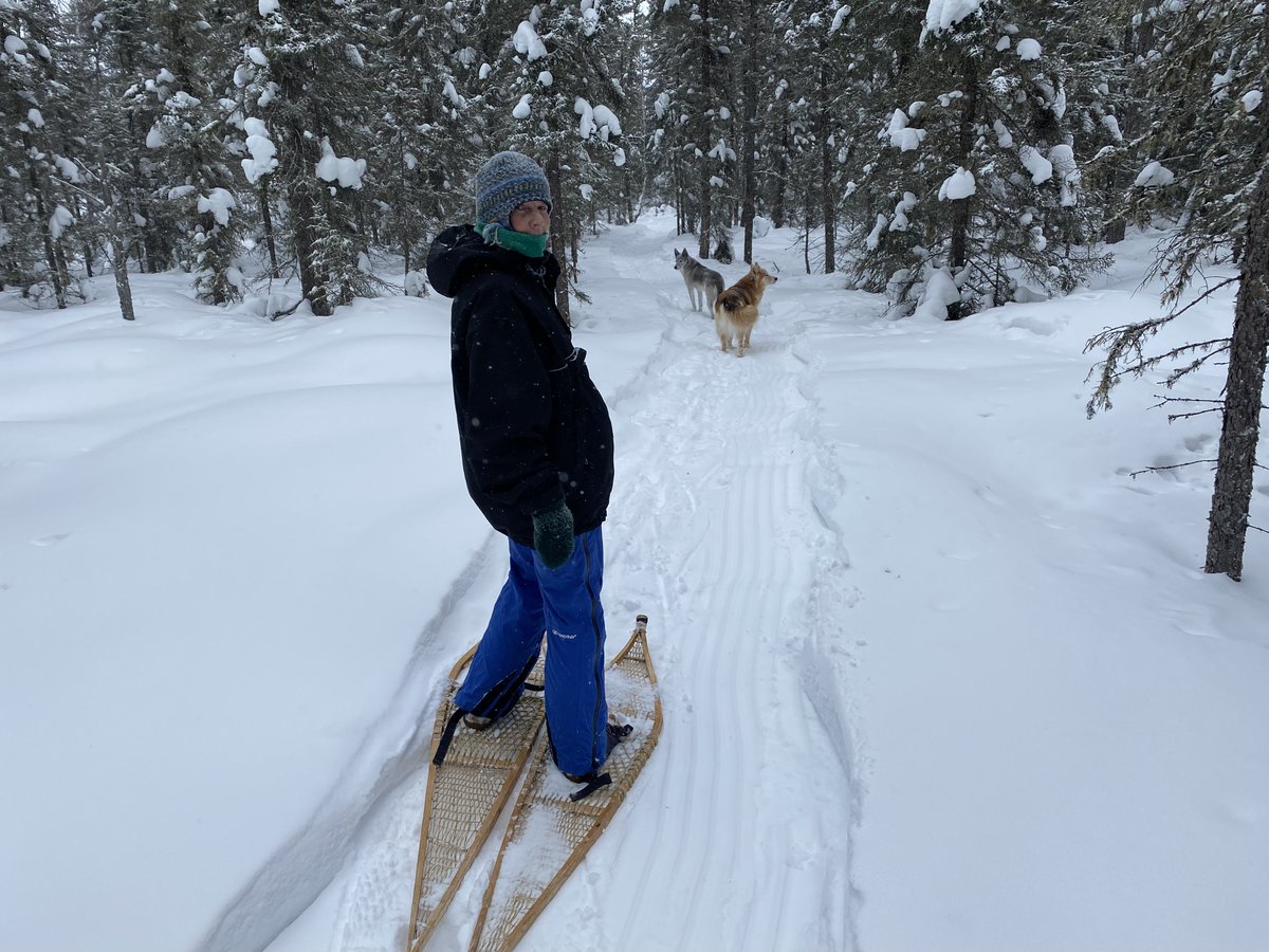 Finally, enough snow to #snowshoe, packing trail for #crosscountryskiing. It has been a challenging fall getting into areas of the trail system due to extremely wet wetlands. This will help firm things up. #winter #outdoors #NWOntatio #Quetico