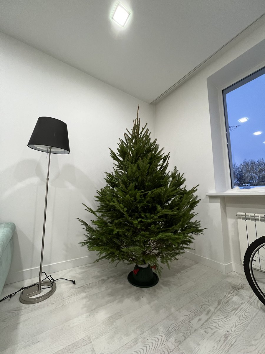 Oooo My Gog!! Loook at this beauty!!!!