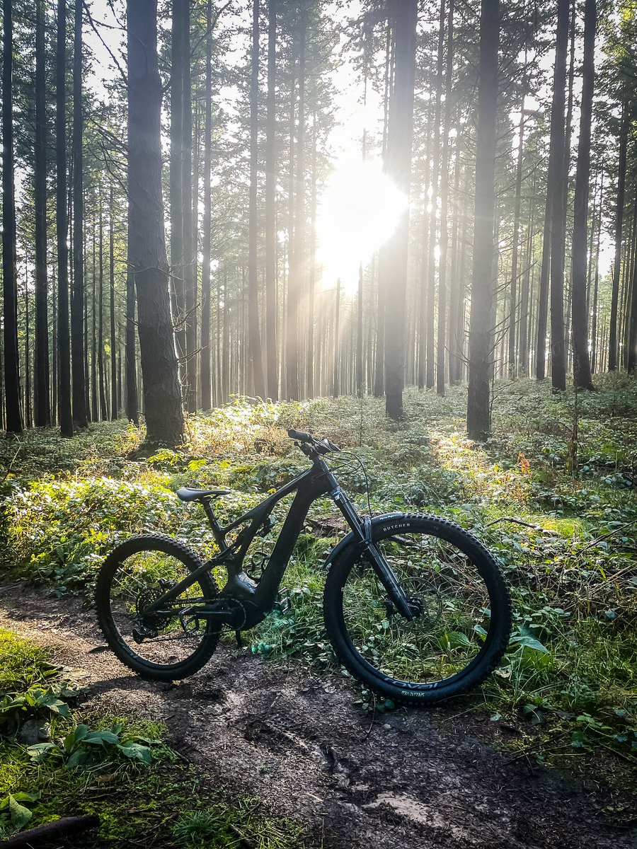 FoDmtb's tweet photo. Sun came out today ☀️ https://t.co/TS5sgTD4Ax