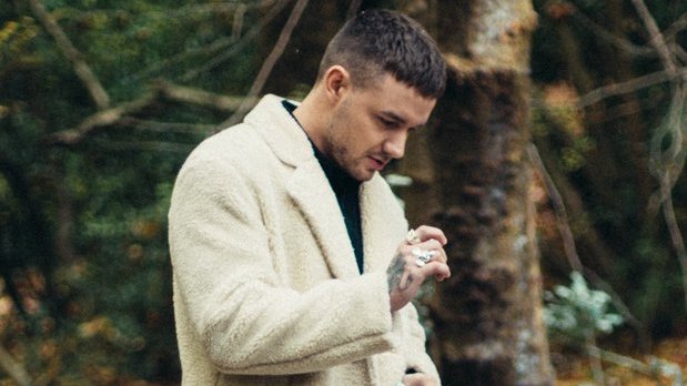 LiamPayneData's tweet photo. How to promote Liam's 'All I Want' to increase its Spotify streams: a thread https://t.co/RBlEY3PyyP