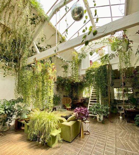 Wishing all of our photo shoots could be in the <a href="/claptontram/">ClaptonTram</a> studio✨🌿 #plantsmakepeoplehappy