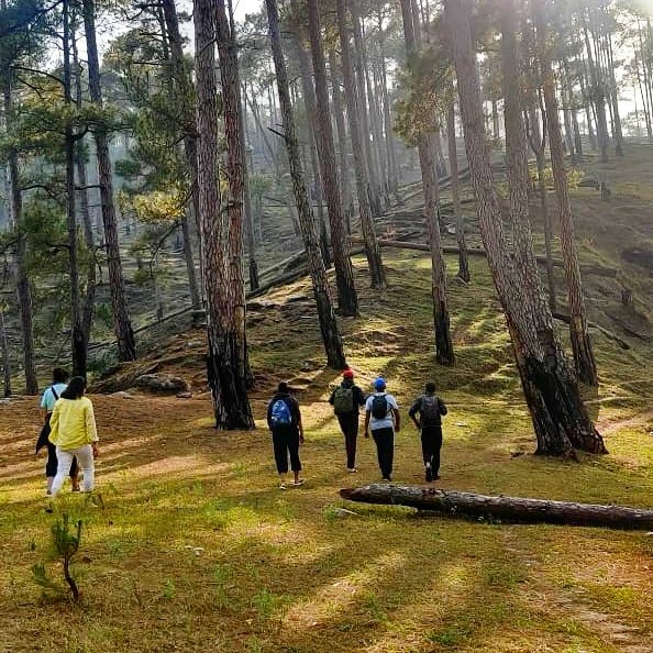 forestbathindia's tweet photo. Immersive forest walks through enchanting woods.
Fun nature based activities with like minded folk. 
Your time to recoup and self reflect. Bonfires, rivers,  picnics and all...

Know more about it #forestbathing #retreat December 28 to January 1
 https://t.co/PBBNEvk13O https://t.co/G5LH7AuDuC