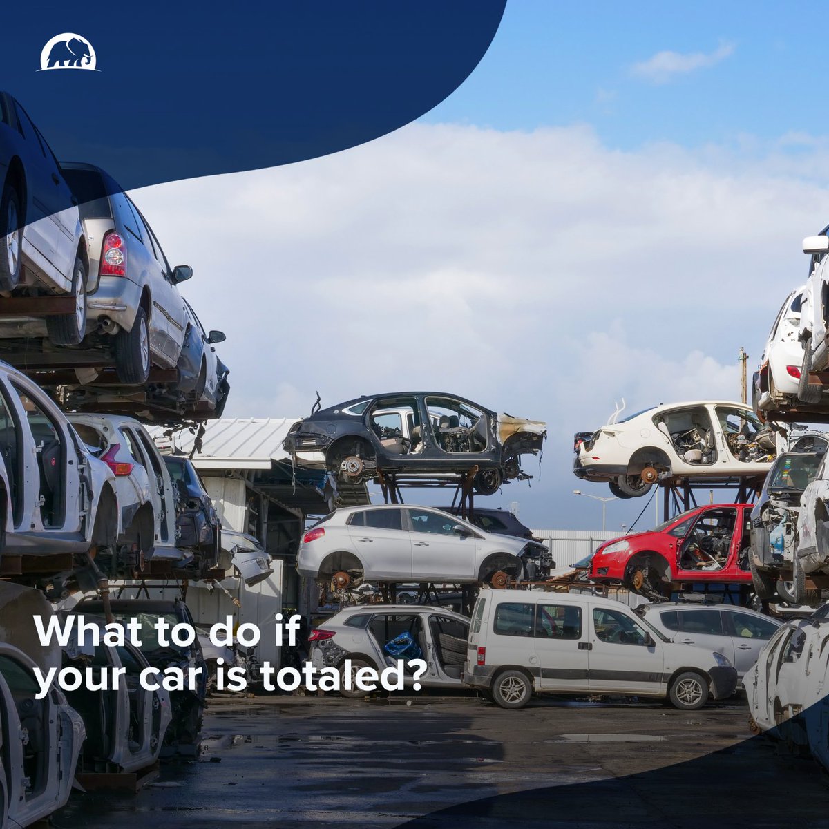 ElephantAutoIns's tweet image. The words no one wants to hear: &quot;Your vehicle is totaled.&quot; Find out what that means and what to do if it happens to you, today on the blog. elephant.com/blog/what-to-d…