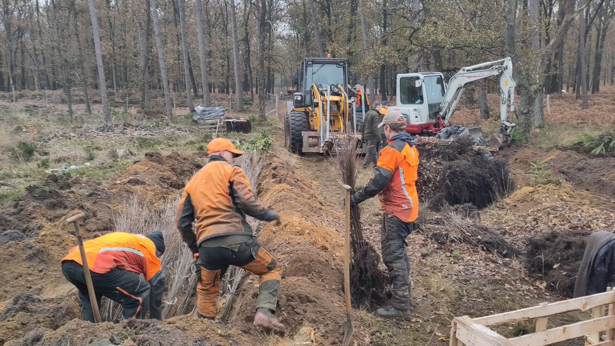Voor diverse opdrachtgevers hebben we dit seizoen weer aanplant georganiseerd. De grootste leveringen zijn binnen en worden komende tijd geplant. Ook voor de komende jaren staat er het nodige in de planning. #aanplant