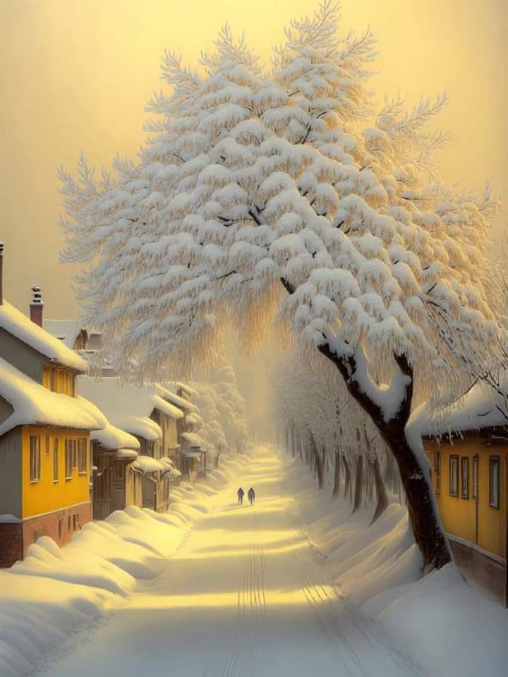 AmordAlma_'s tweet photo. ☆☆☆☆
╰┈─➤ Happy afternoon 🥰
Merry christmas 🎄☃️🎄☃️🎄 https://t.co/15U7kYyqlJ