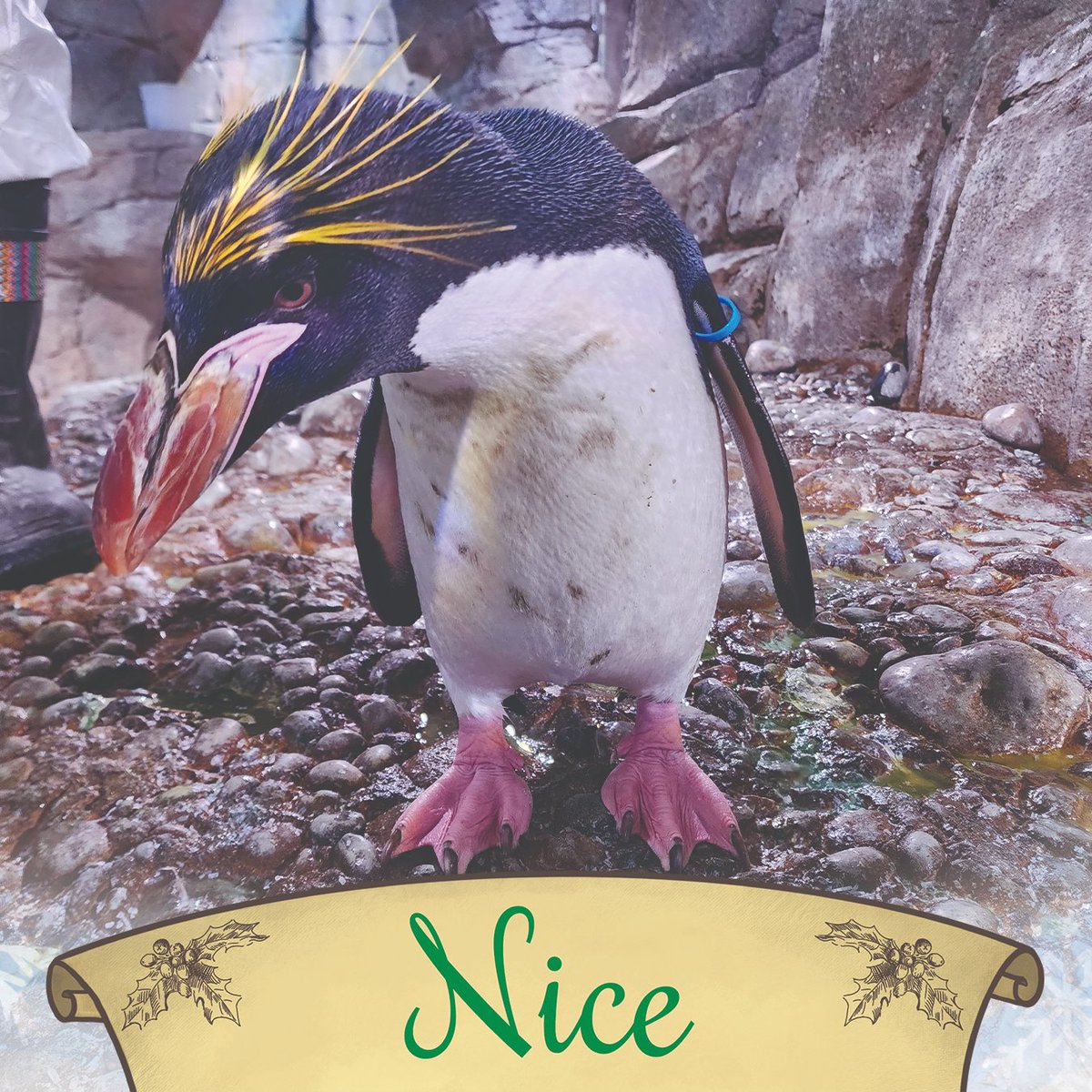 ABQ BioPark tweet media