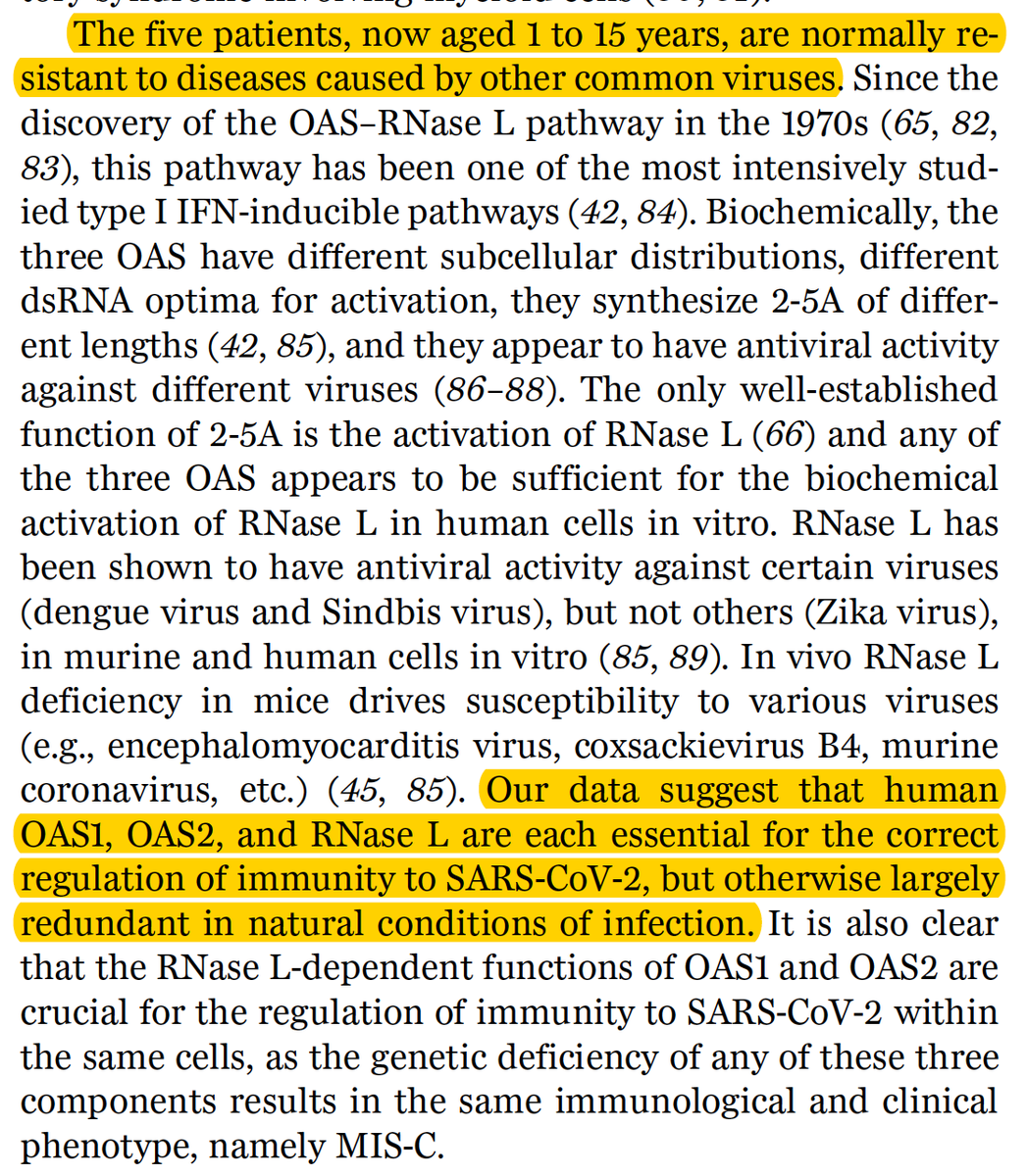 EricTopol's tweet photo. New @ScienceMagazine
Following Covid, MIS-C, the rare and potentially lethal multisystem inflammatory syndrome in children, has been elusive for its biologic basis. Today a report of 5 unrelated kids with genetic OAS-RNase L deficiencies
https://t.co/LHgIlLeMIS
Link needs fixing https://t.co/V1CguLr844