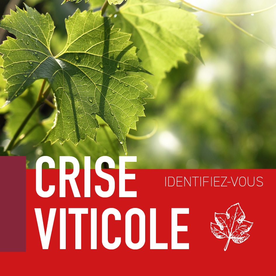 chambagri33's tweet photo. La Chambre d'Agriculture, avec l'appui des Pouvoirs Publics, lance une grande enquête.
Objectif : évaluer le nombre de viticulteurs en difficulté, afin de dimensionner les dispositifs d'accompagnement. Répondez AVANT LE 15 JANVIER 2023 : https://t.co/ldQ53LIjud https://t.co/ZyuVKVZM1A