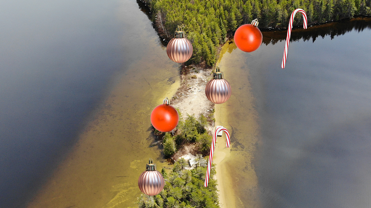 IISD Experimental Lakes Area tweet media