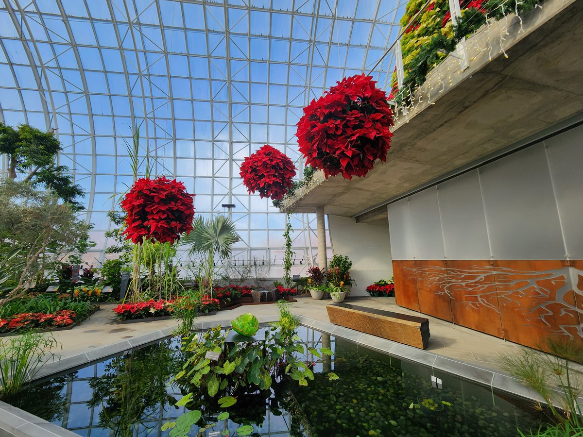 𝐌𝐲𝐫𝐢𝐚𝐝 𝐁𝐨𝐭𝐚𝐧𝐢𝐜𝐚𝐥 𝐆𝐚𝐫𝐝𝐞𝐧𝐬 tweet media