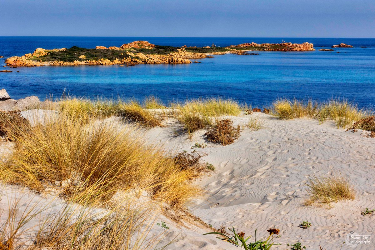 OnoNanni's tweet photo. Capo Comino. #italy #sardinia #capocomino #photography #siniscola #photographer #seascape #seashore #seaside #sea #beach #dune #sand #mediterraneo #nature #earth #planet #maredinverno #sardegna #isola https://t.co/CTuuXs9jeW