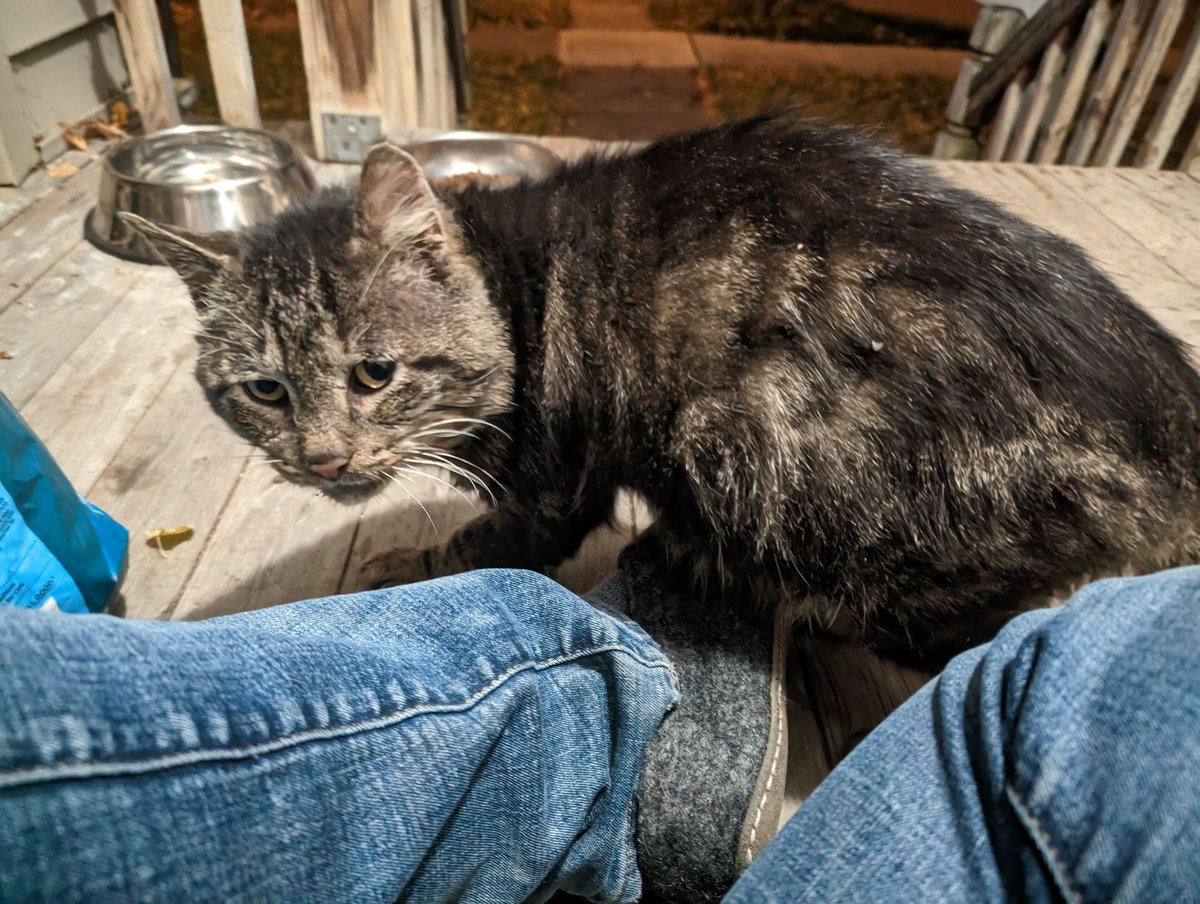 MaxJones tweet media