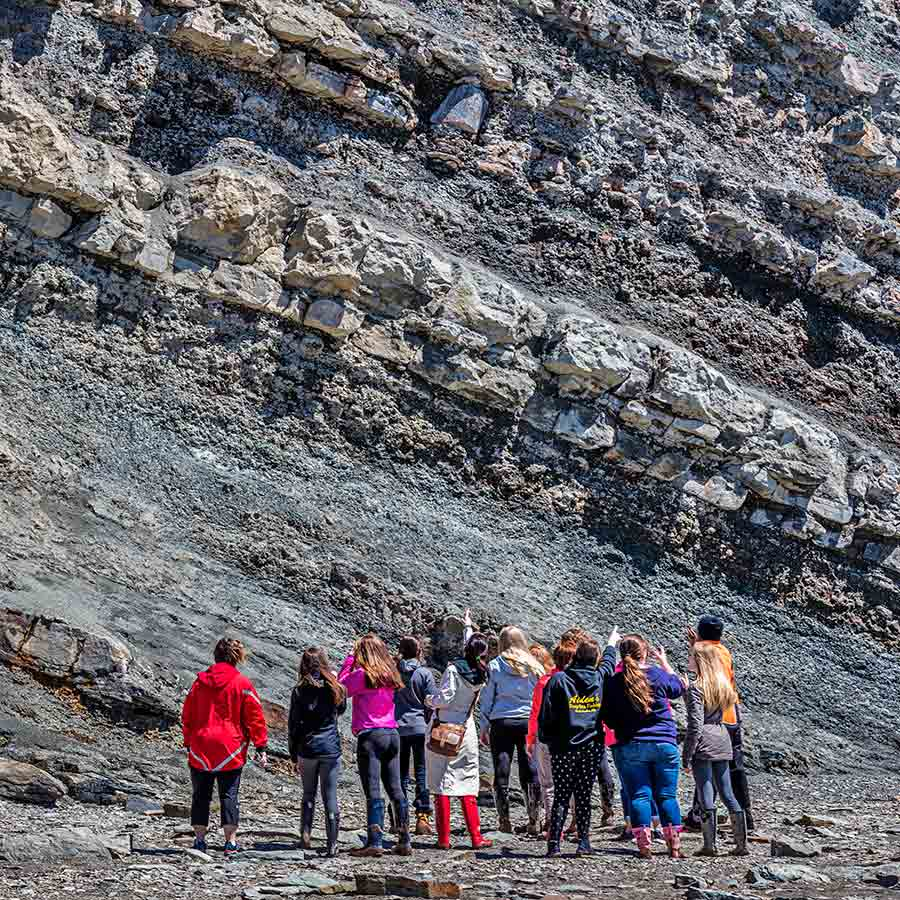FossilBonanza's tweet photo. On the coast of Nova Scotia is the World Heritage Site, Joggins Fossil Cliffs. Walking along the beach, you can gaze up at the tilting layers of Carboniferous-age rocks. Ancient trees, early reptiles, among others are found here.
#ParkWeek #Paleontology
https://t.co/3svyqHstFf https://t.co/1PzPcTJHoK