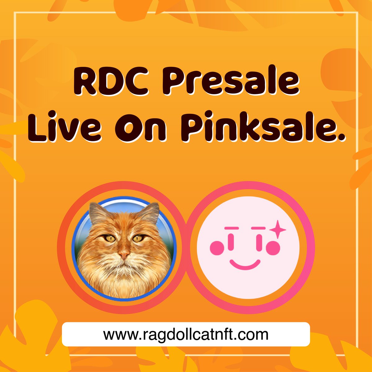 RagdollCat NFT tweet media