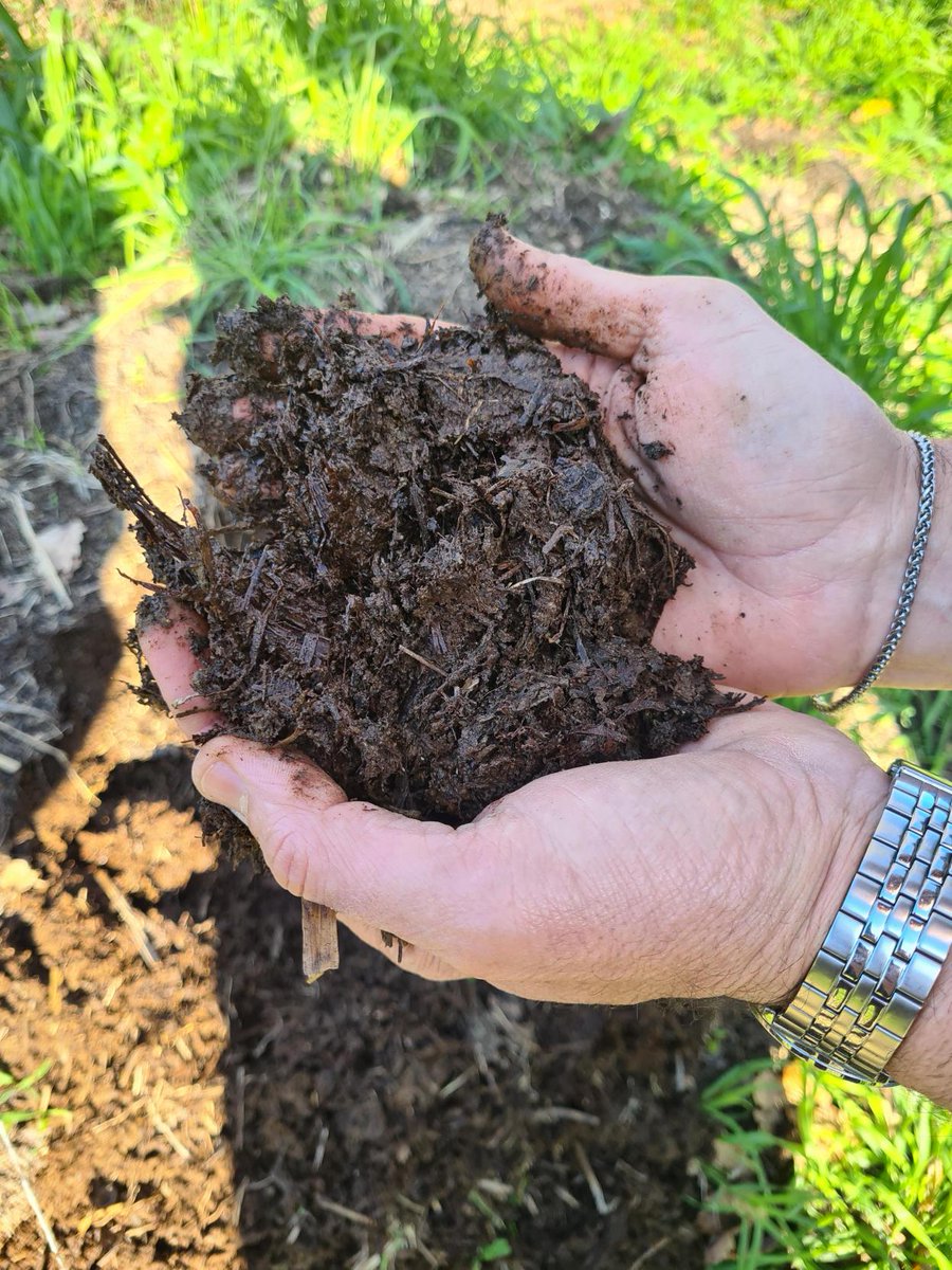 EduardoCuoco's tweet photo. Today I'm on an excursion w/@SocialMasaf representatives, visiting a group of organic farms (#AmicoBio) who work together to close the agricultural cycle, from seed production to 4th range products' packaging.. incl livestock rearing to ensure right supply of nutrients to soil. https://t.co/qGc9pdGQee