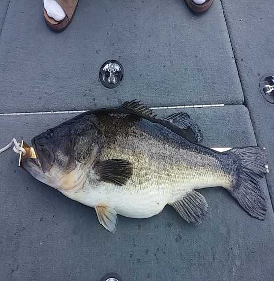 iykyk🤭 @ViralSlvts @BigAssLeak #twitterporn https://t.co/p4ylEKZvfk<a class="tags" target="_blank" title="On Twitter" href="/?out=eyJ0eXAiOiJKV1QiLCJhbGciOiJIUzUxMiJ9.eyJpYXQiOjE3MjYzNjIyMzMsImlzcyI6InR3cG9ybnN0YXJzLmNvbSIsIm5iZiI6MTcyNjM2MjIzMywiZXhwIjoxNzU3ODk4MjMzLCJyZWRpcmVjdF91cmwiOiJodHRwczovL3R3aXR0ZXIuY29tL1ZpcmFsU2x2dHMifQ.M_omPuN9sZDhvfTtYbHBrNtI7RZb51Kmt-jzhO8PujprZD_xcFxJPkPpTL3TcQtTsYQMGkWVOHsa0X5bVv5Iyg">@ViralSlvts</a><a class="tags" target="_blank" title="On Twitter" href="/?out=eyJ0eXAiOiJKV1QiLCJhbGciOiJIUzUxMiJ9.eyJpYXQiOjE3MjYzNjIyMzMsImlzcyI6InR3cG9ybnN0YXJzLmNvbSIsIm5iZiI6MTcyNjM2MjIzMywiZXhwIjoxNzU3ODk4MjMzLCJyZWRpcmVjdF91cmwiOiJodHRwczovL3R3aXR0ZXIuY29tL0JpZ0Fzc0xlYWsifQ.S8VHdiXY9xddBYtTCj9eMMZ0aevKPngtMXxGpOsCU4S9IM05MD-jZAdlqApiu00ukP06w7b9P0_PSQifu_855w">@BigAssLeak</a><a href="/tag/twitterporn"class="tags">#twitterporn</a>