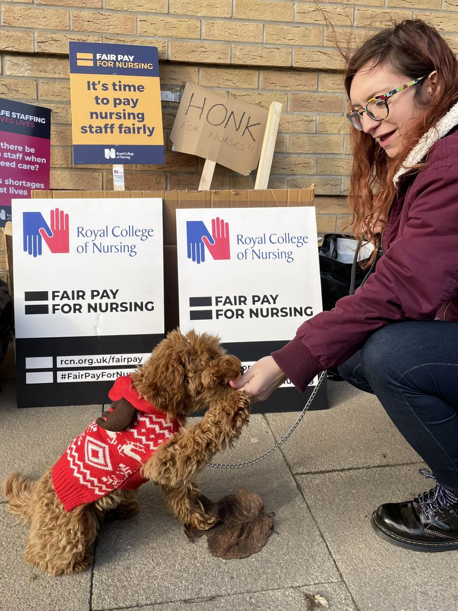 lindseycoadyPNA's tweet photo. #pupsonthepicket #supportfornurses #RCNStrike https://t.co/qtpqGCHkUA