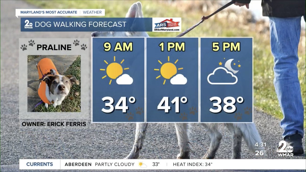 erick_ferris's tweet photo. Cool w/ tons of sunshine… Miss Praline’s ideal dog walkie conditions! #Pawfect #LastDayOfFall #MDwx #DogWalkingForecast ☀️🐾❄️ https://t.co/YUKIUM3zL4
