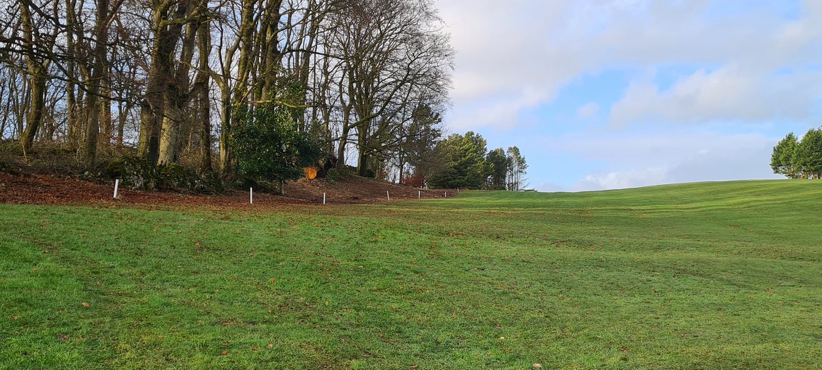 The course is starting to look a lot tidier around the edges, with removing the dead trees that fell over in the winds last year and the bramble that was choking the trees. We will be re-planting the areas with new trees and shrubs.
#greenkeeper #golf #golfcoursemanagement