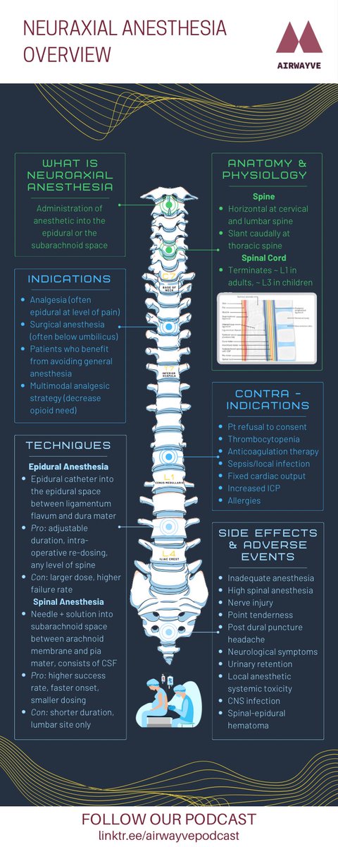 Make sure to be a verte-bro and also check out our accompanying infographic!