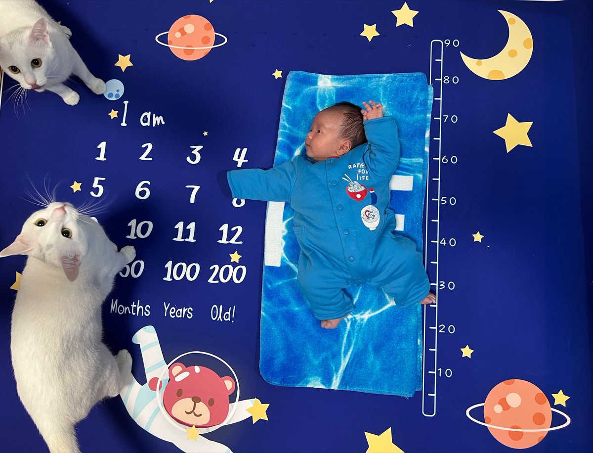 keung0501's tweet photo. Moonlight sonata!three babies. 
happy thirty days:)
Great memories!
I love blue and white because of Messi!
#CatsOfTwitter #catswithbaby #Messi𓃵 https://t.co/WV3nqWGoj8